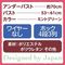 おっぱいボードカバー用ブラジャー